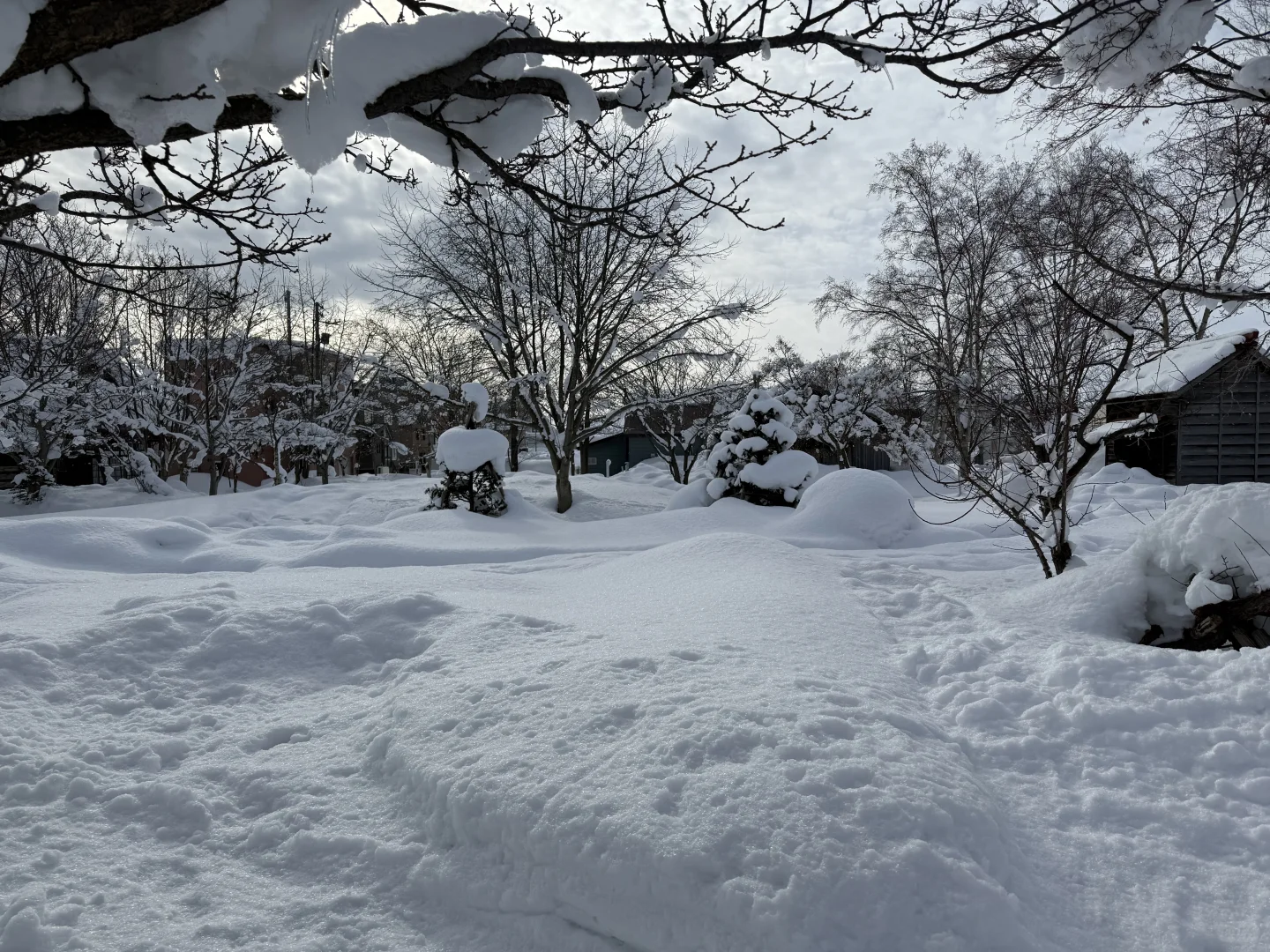 J人北海道四天三晚之旅