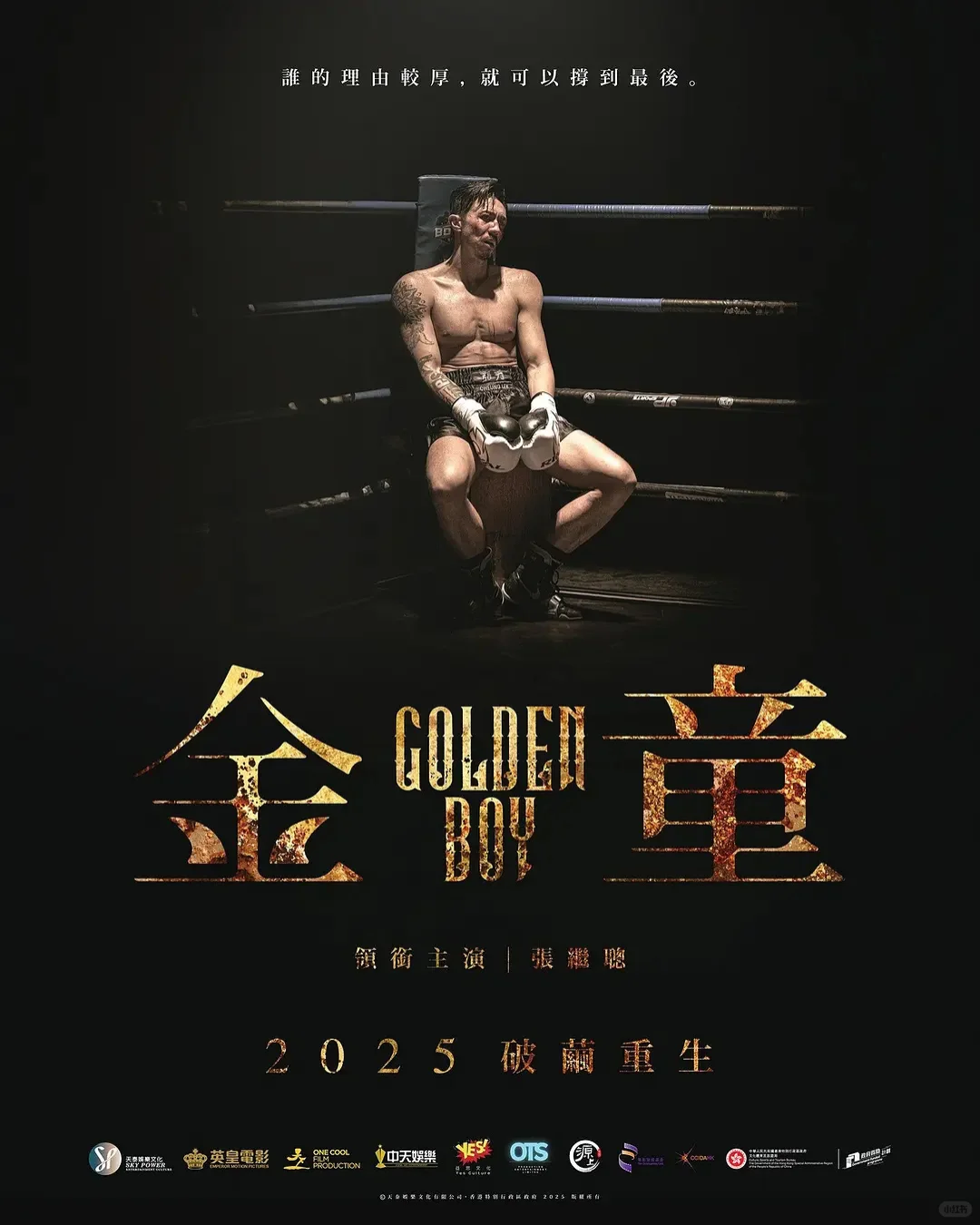 2025年11月月即将上映的12部精彩电影