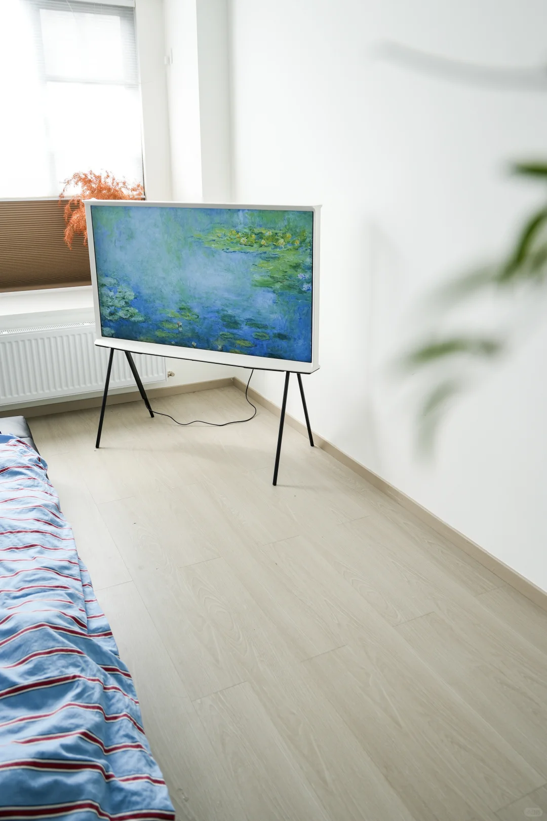 这个美丽的废物终于到了