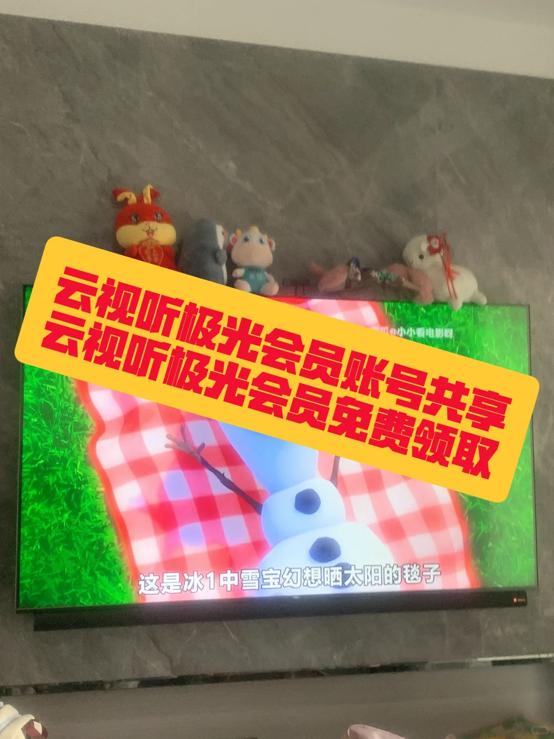 云视听极光会员账号共享2024分享免费领取-夜雨聆风