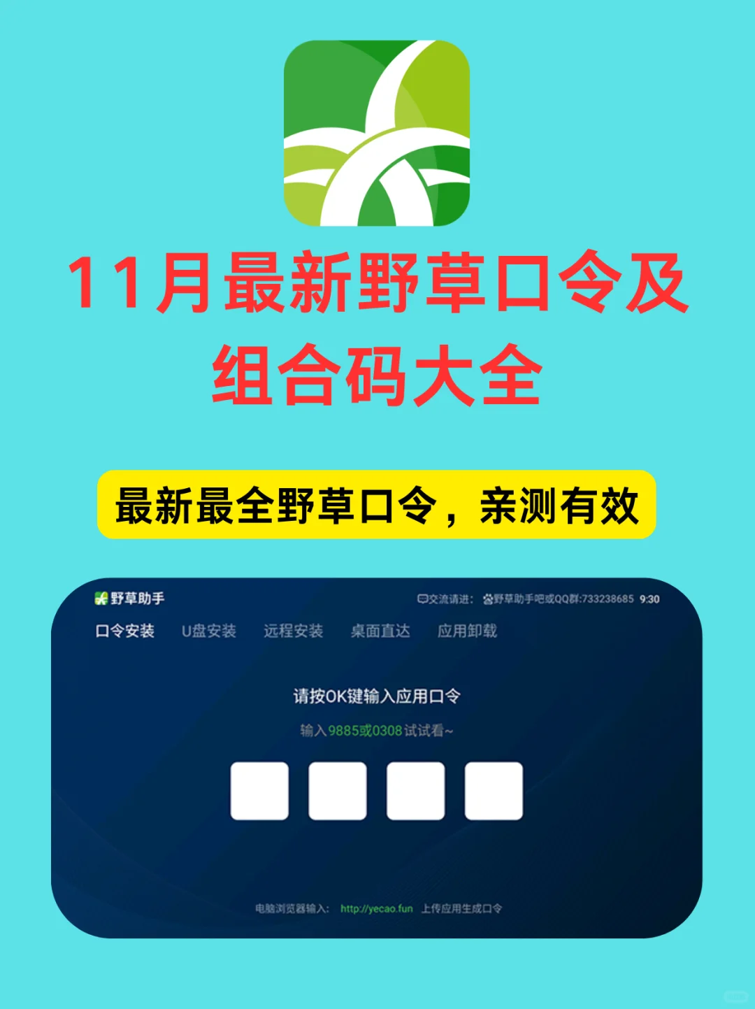 叶枫搞机/11月最新野草口令大全