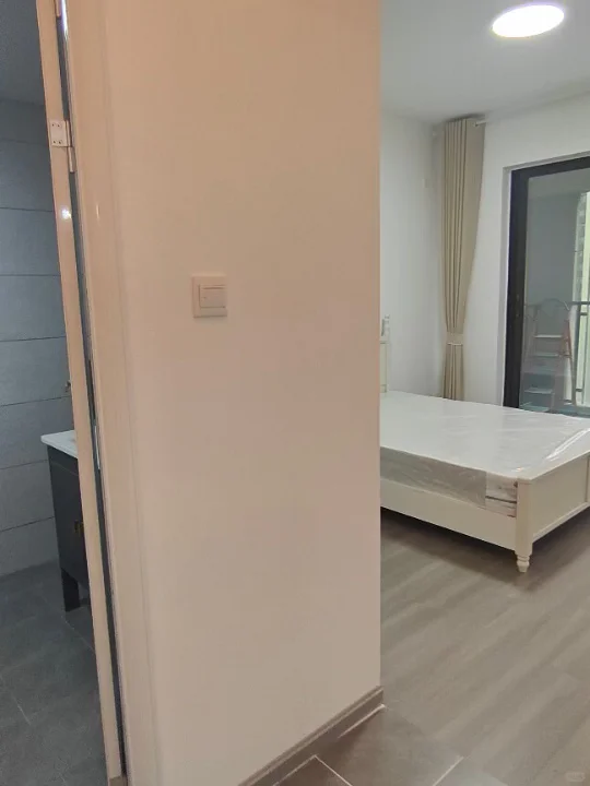 主卧带卫带阳台1K天府五街软件园华府大道