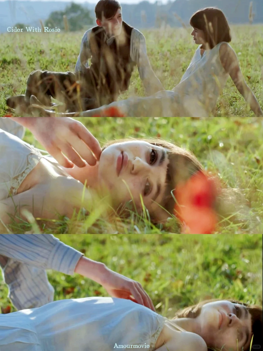 看完对爱与时间都释怀了😭美到想再看800遍！