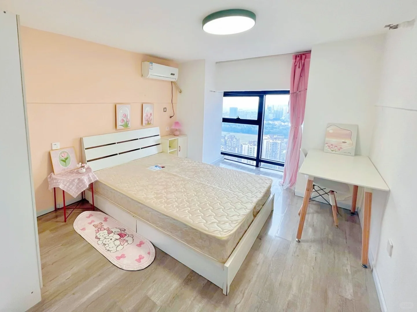 房东直租，天府五街附近，可养宠物