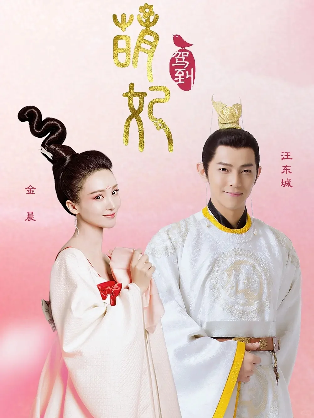 推荐十部金晨出演的电视剧❗️好看下饭剧