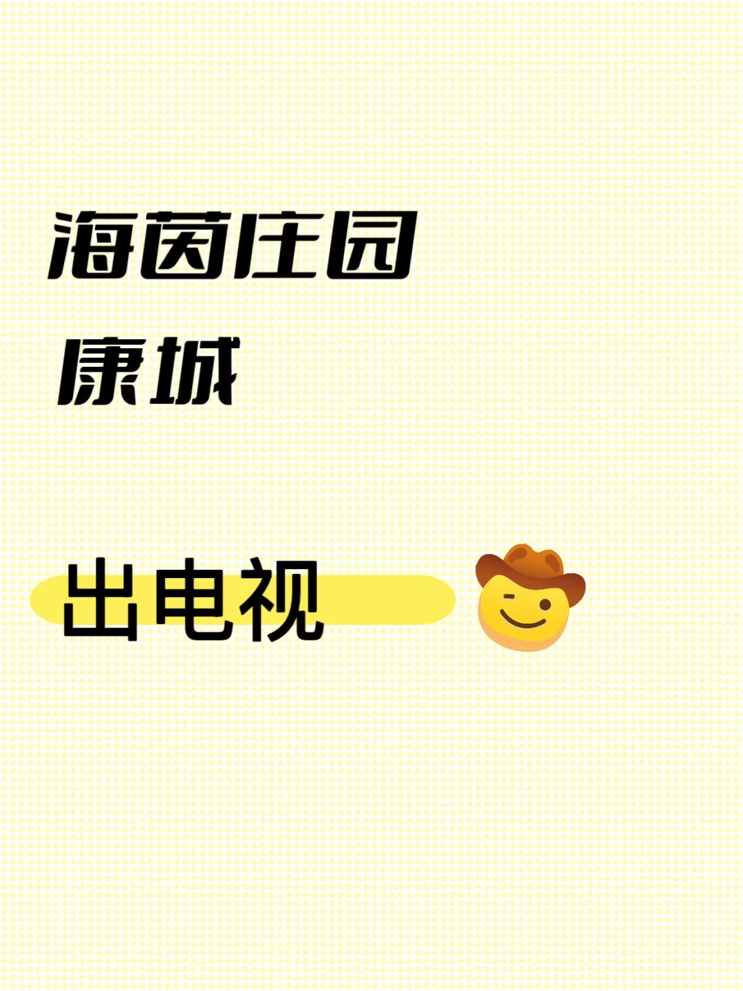 康城 海茵庄园出电视