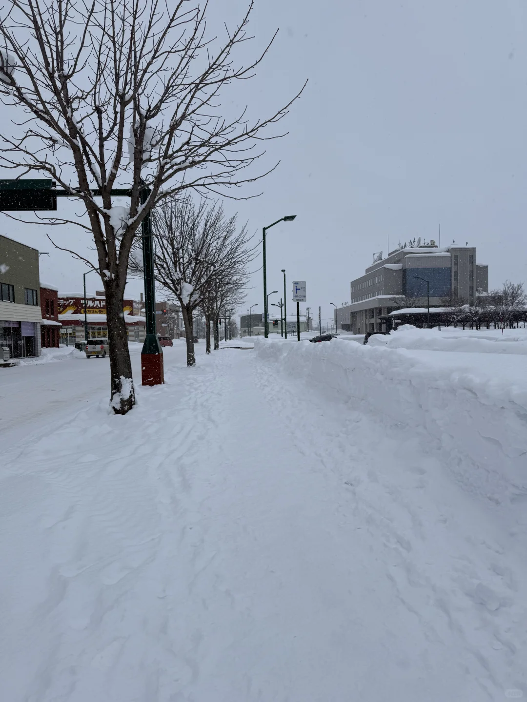 J人北海道四天三晚之旅