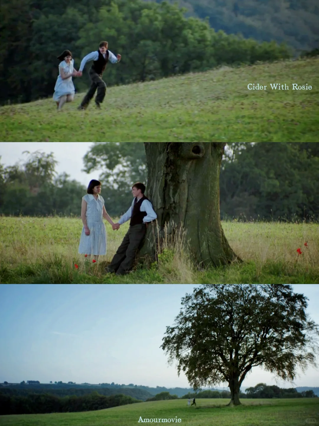 看完对爱与时间都释怀了😭美到想再看800遍！