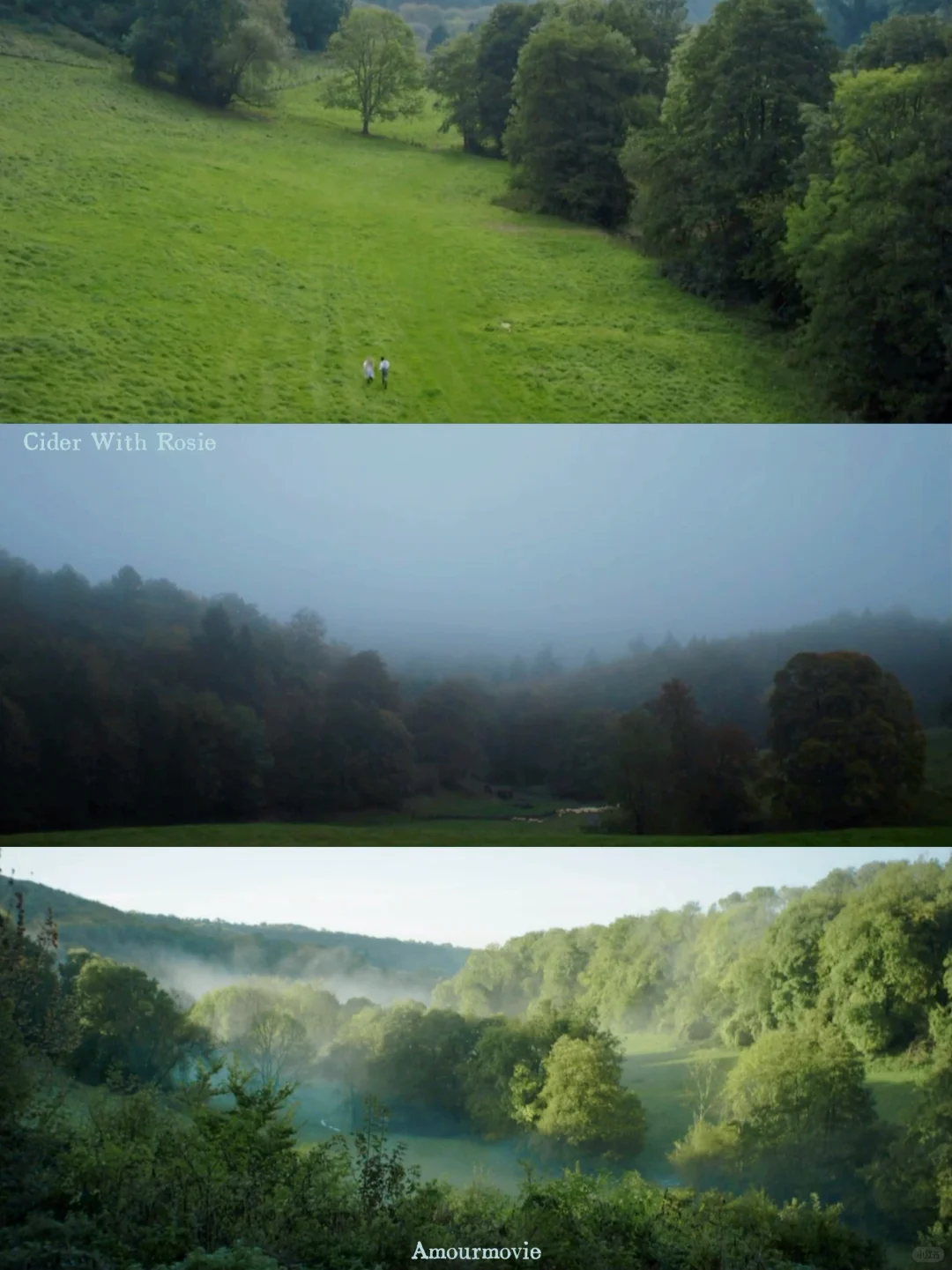 看完对爱与时间都释怀了😭美到想再看800遍！