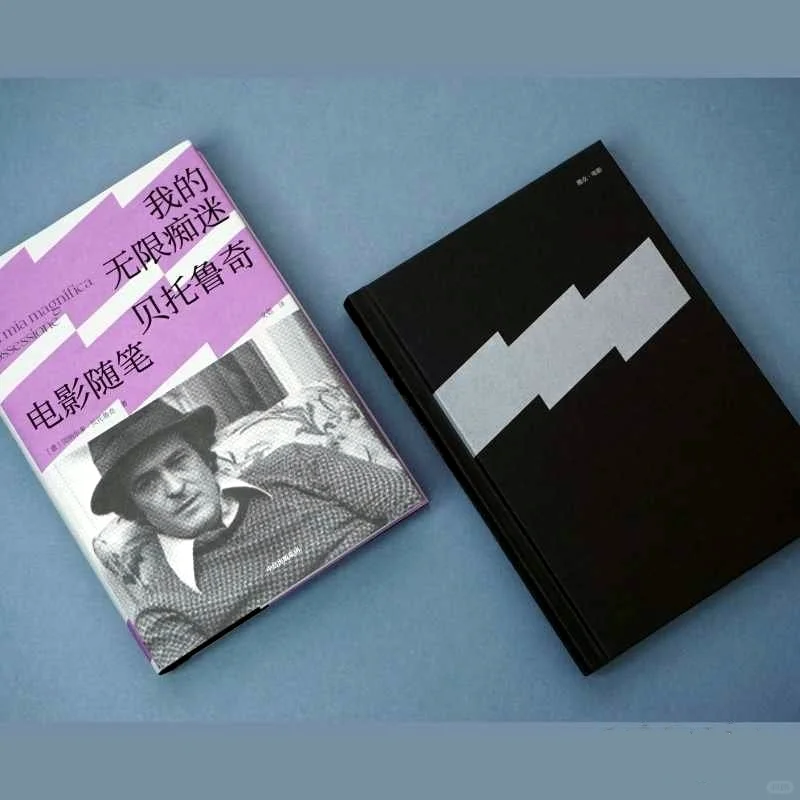 贝托鲁奇电影随笔 电影是灵魂的摆渡人