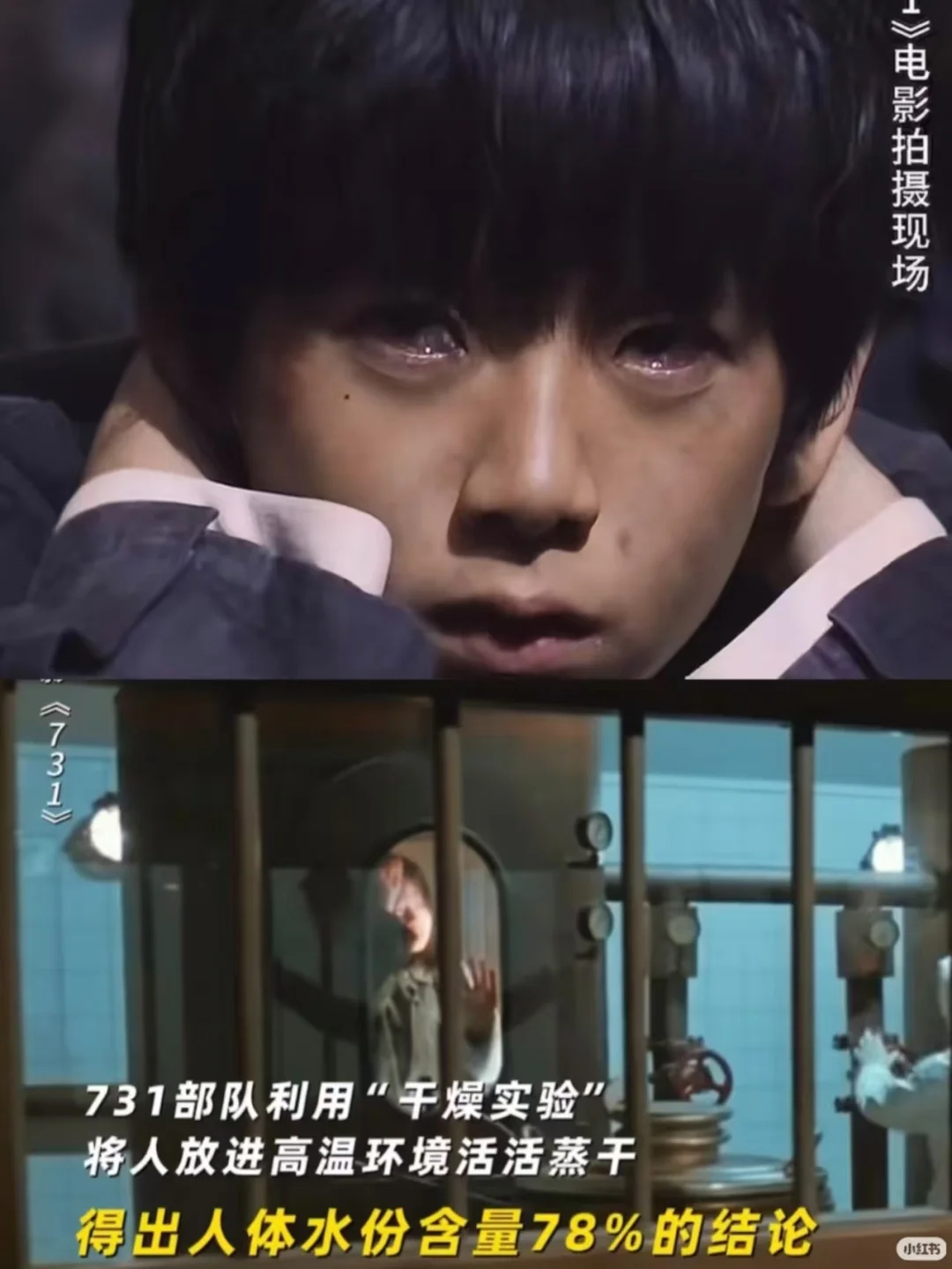 《731》这部电影太敢拍了