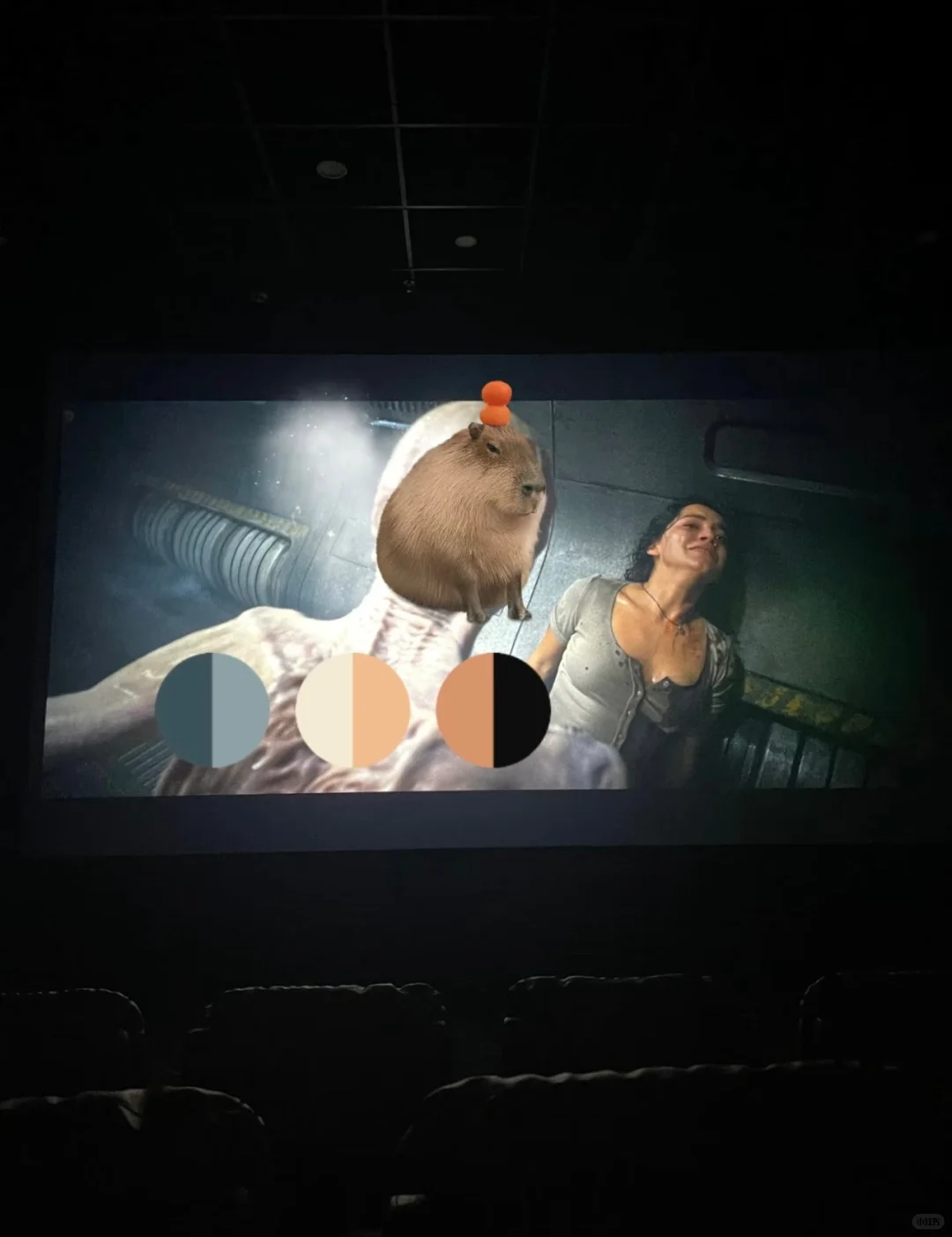 社交软件用了一周后，有点意外