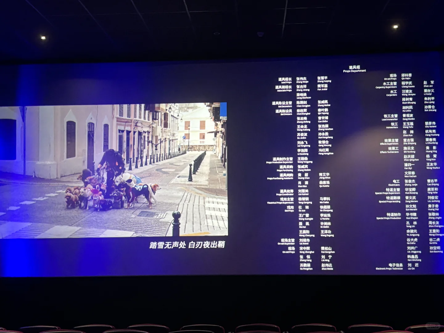 《捕风追影》全程高能 刺激！爽！