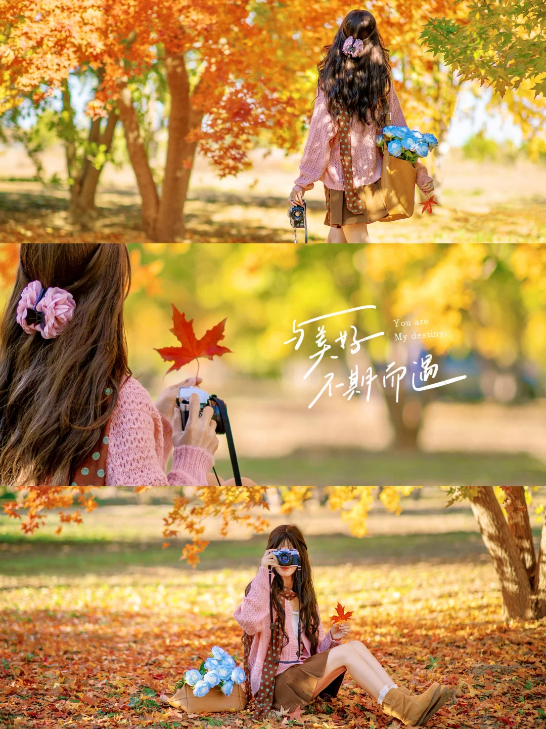 秋天落叶电影感拍照姿势|附滤镜调色教程