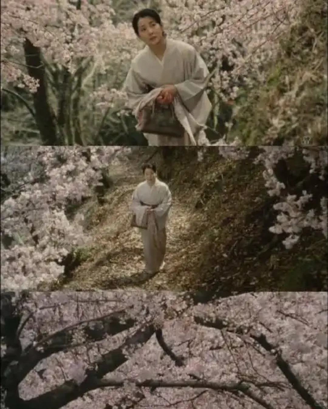 十一月最美的电影诞生啦😁