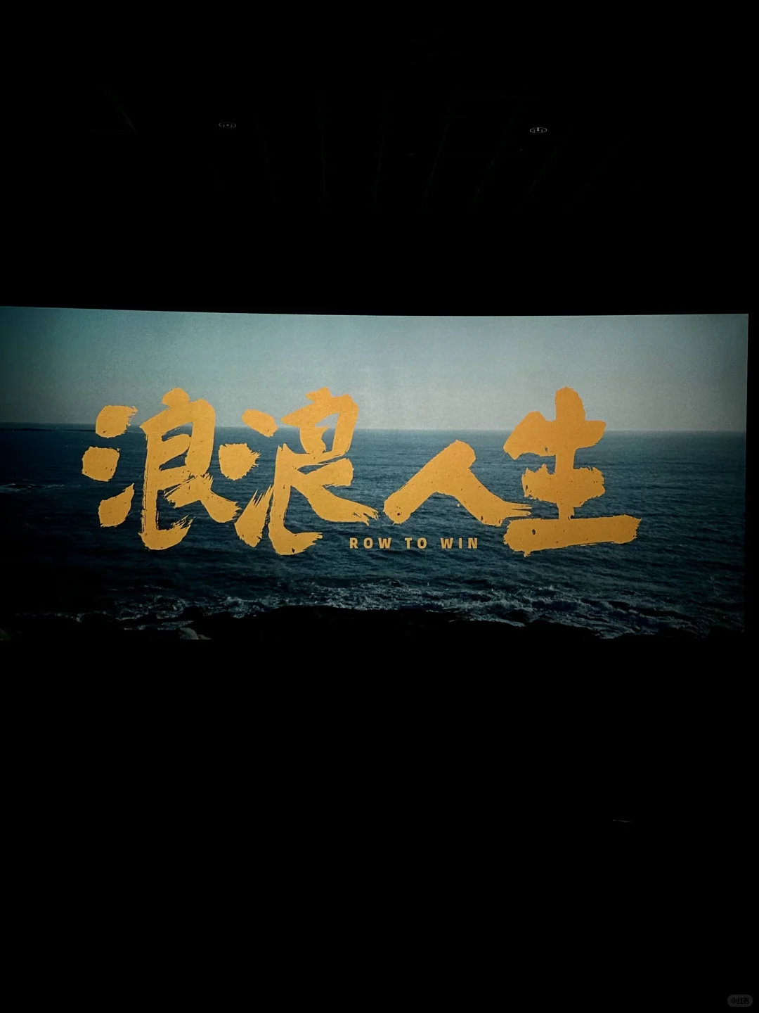 🎬浪浪人生
