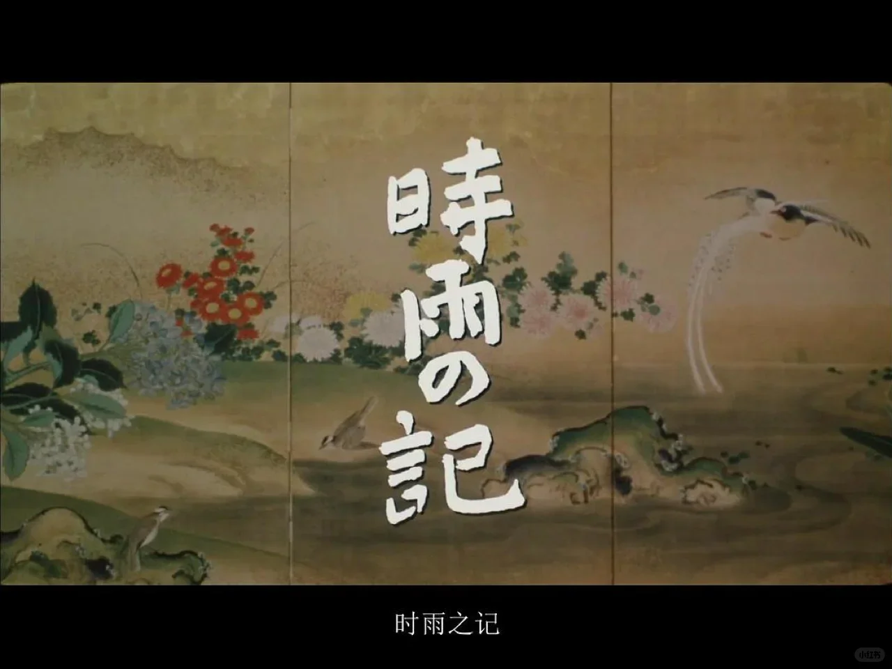 十一月最美的电影诞生啦😁