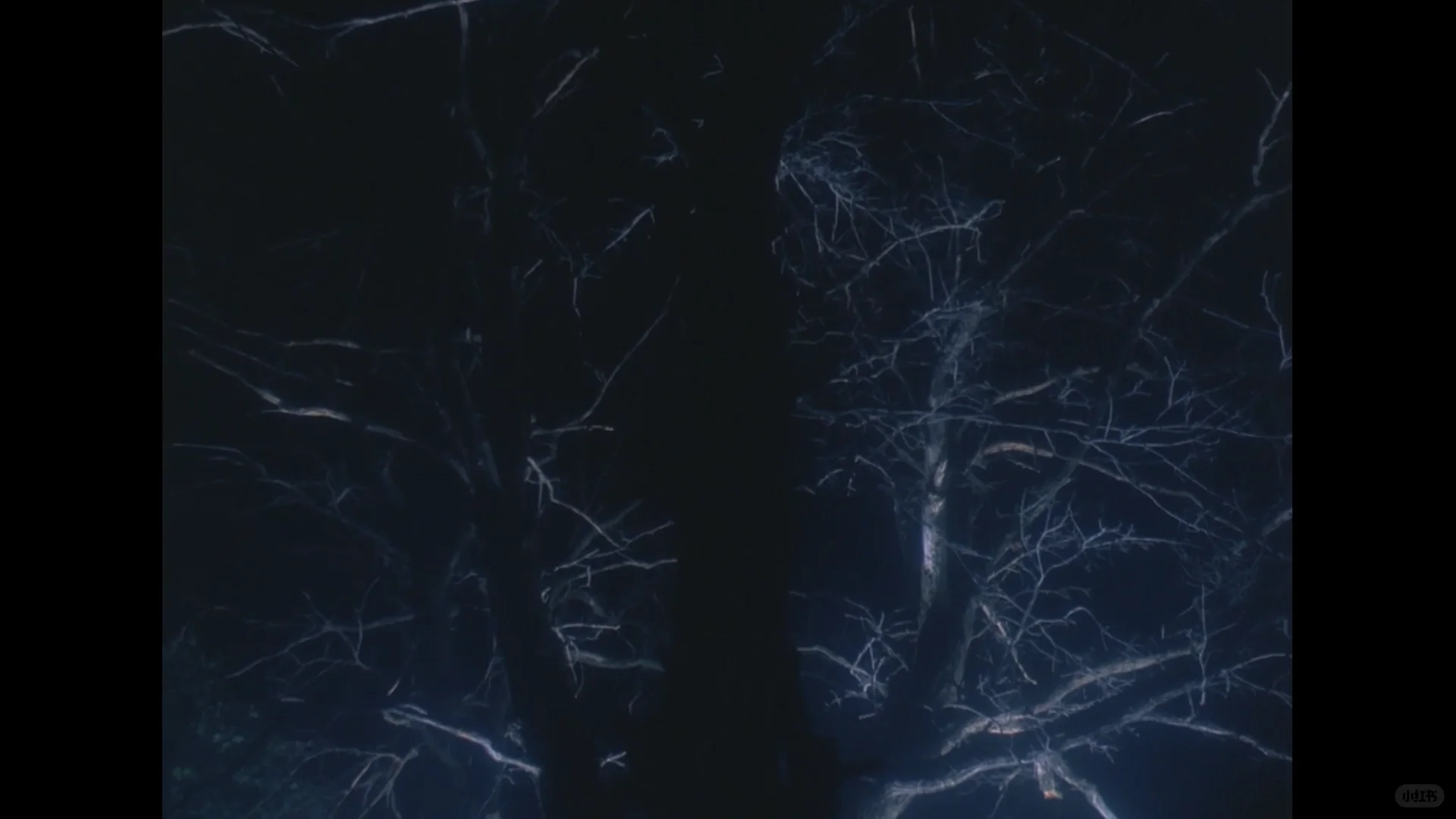 电影截图《零城》