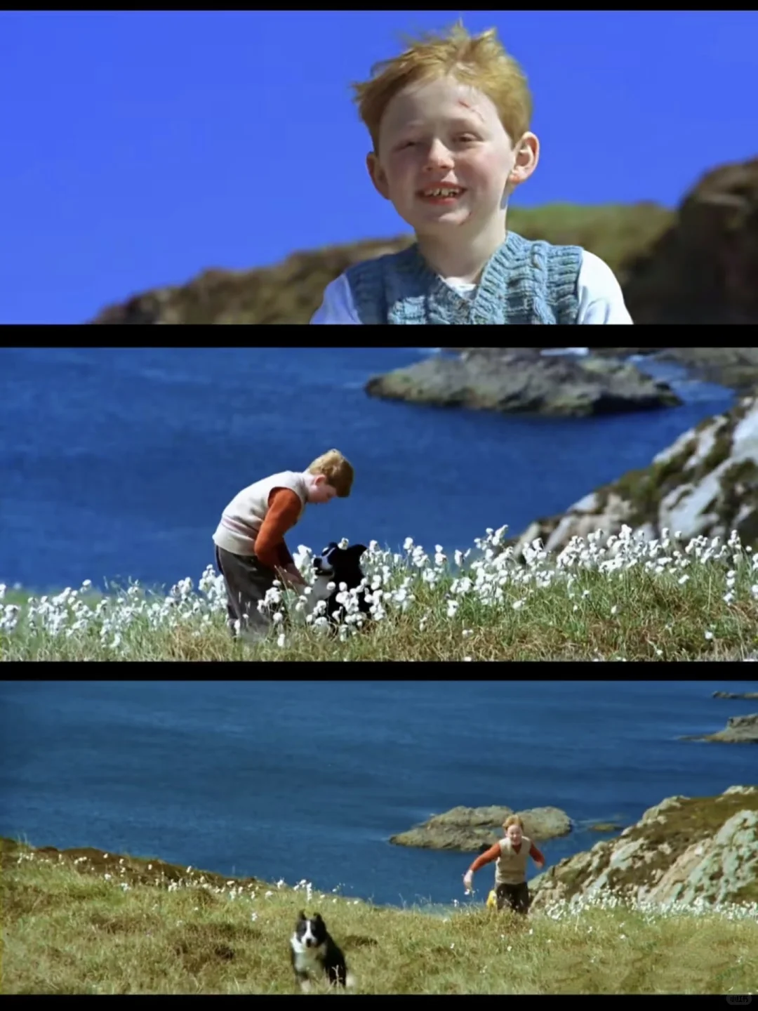 刷了几遍，值得珍藏一生的好电影❗❗