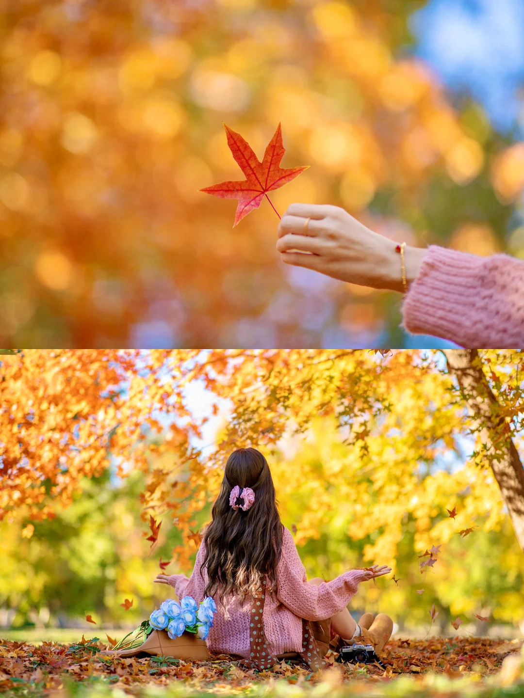 秋天落叶电影感拍照姿势|附滤镜调色教程