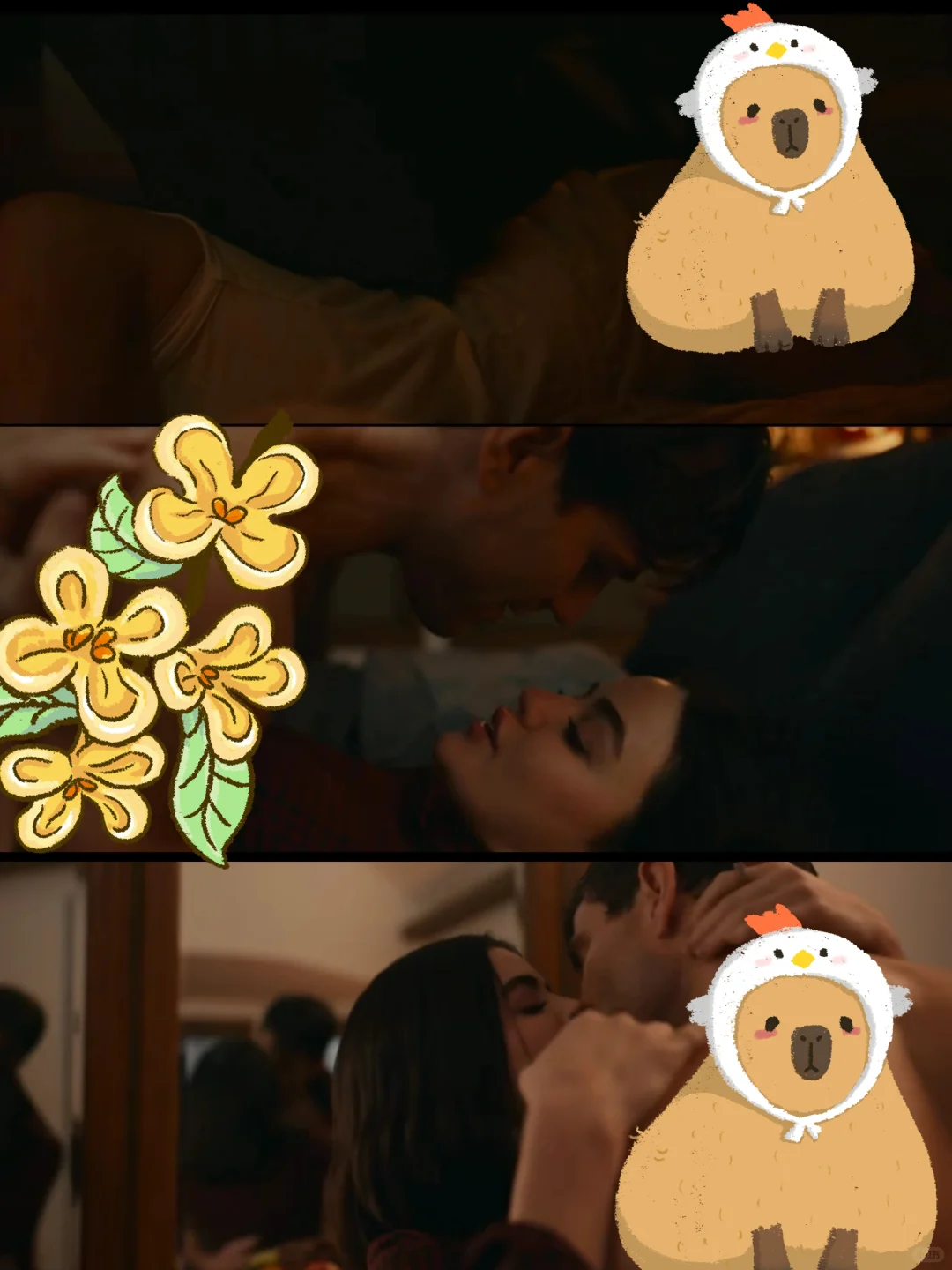 我去，绝了❗怎么没早点发现这部爱情电影