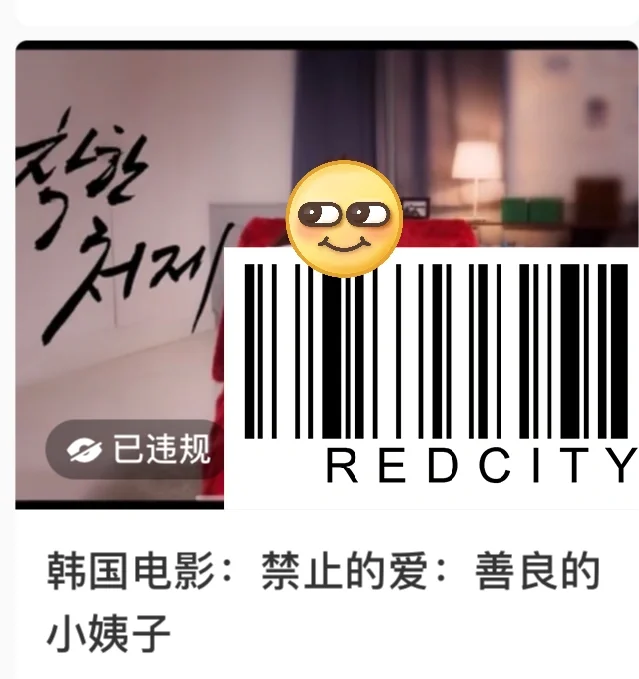 韩国电影：禁止的爱·善良的小姨子