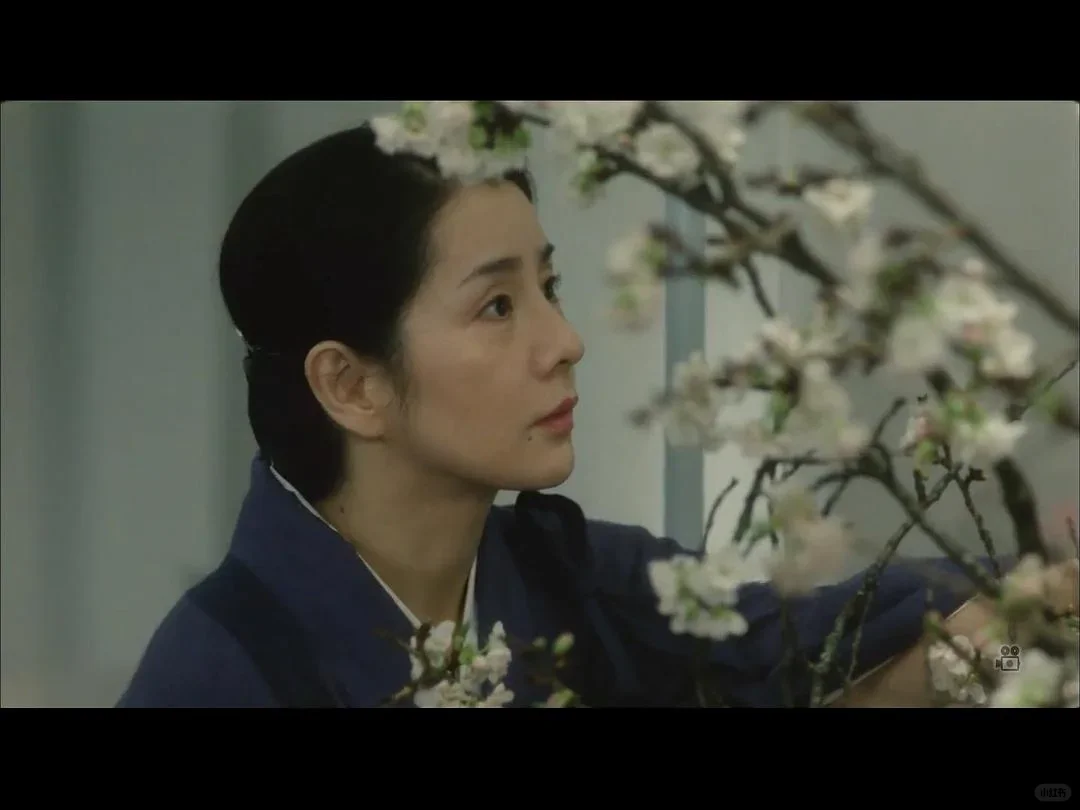 十一月最美的电影诞生啦😁