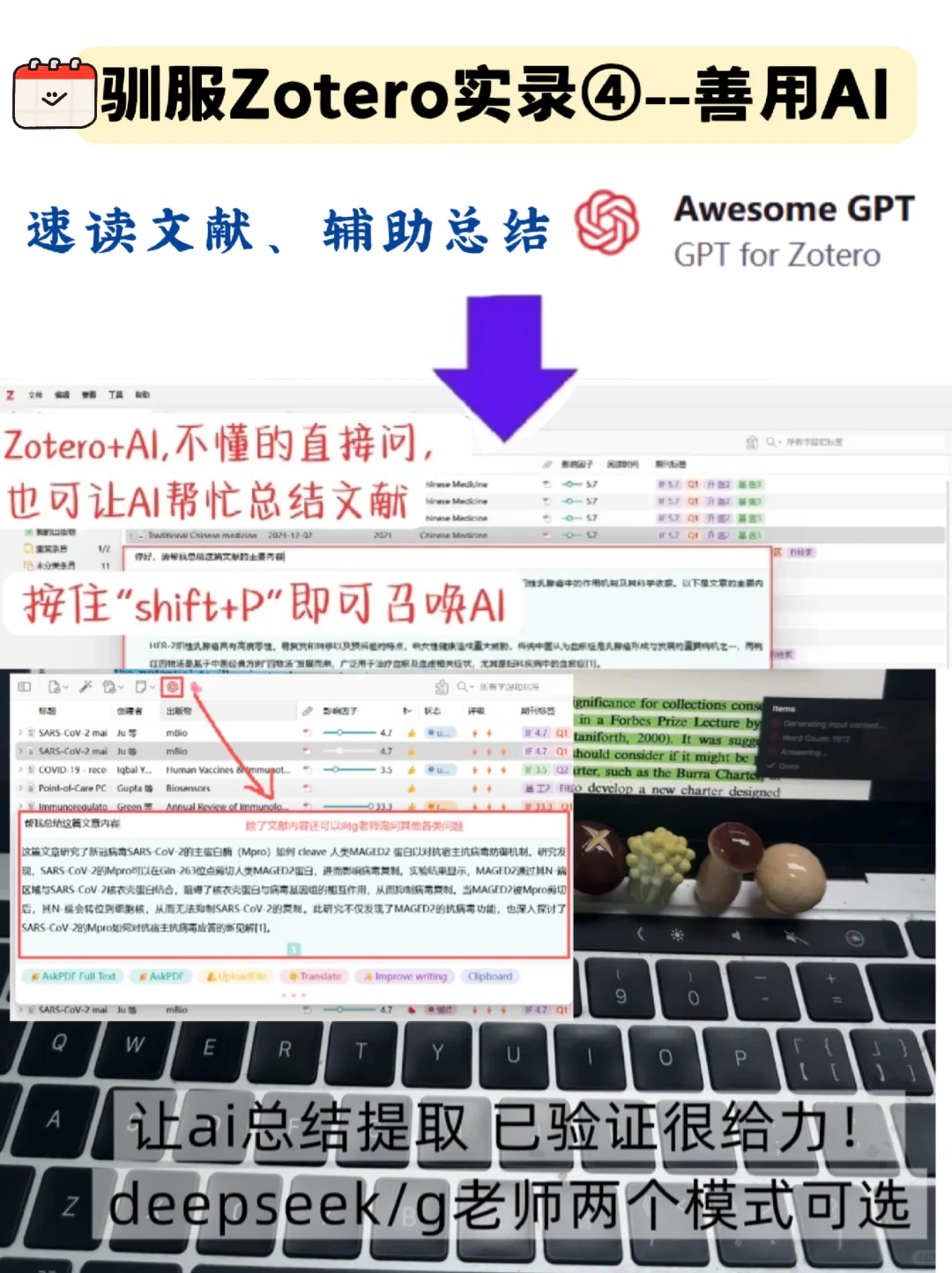vocal😨zotero插件比挖掘机还绝绝绝！？