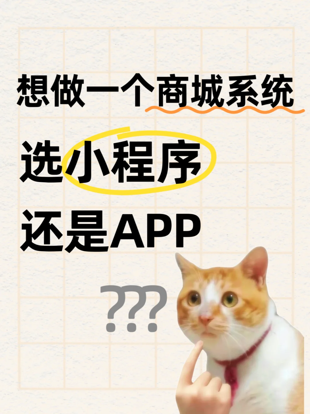 想做一个商城系统，做小程序还是APP？