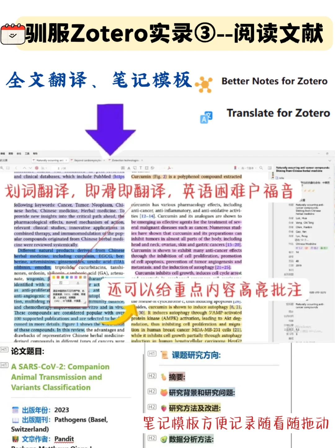 vocal😨zotero插件比挖掘机还绝绝绝！？