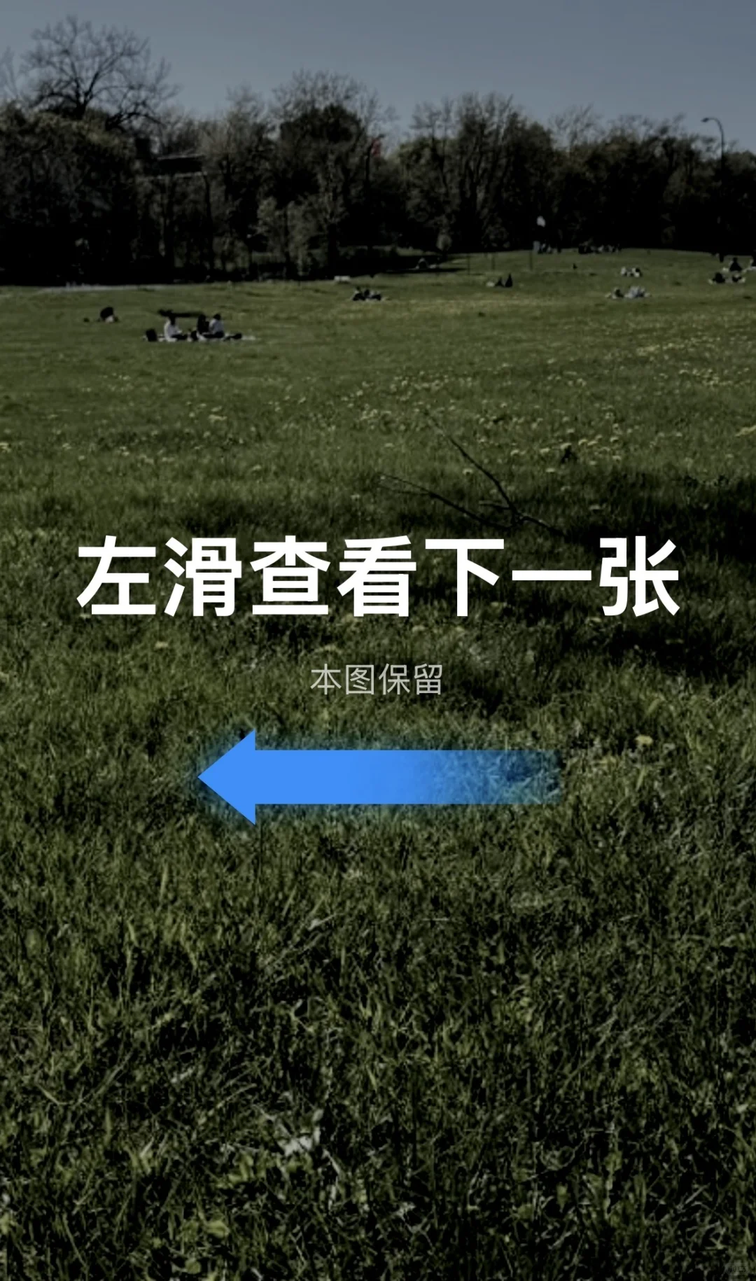 可能是最极简删照片app，只有两个操作