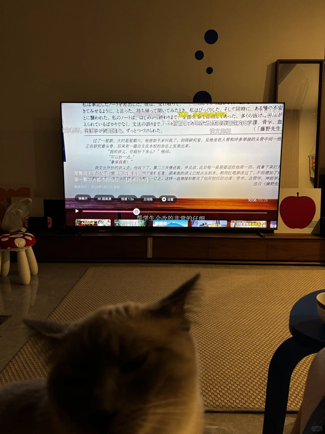 电视是我新家入住2年里，幸福感最强的家电