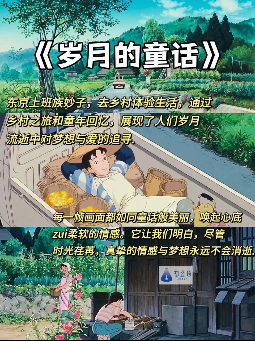 治愈片单｜这8部电影，藏着生活最温柔的模样✨
