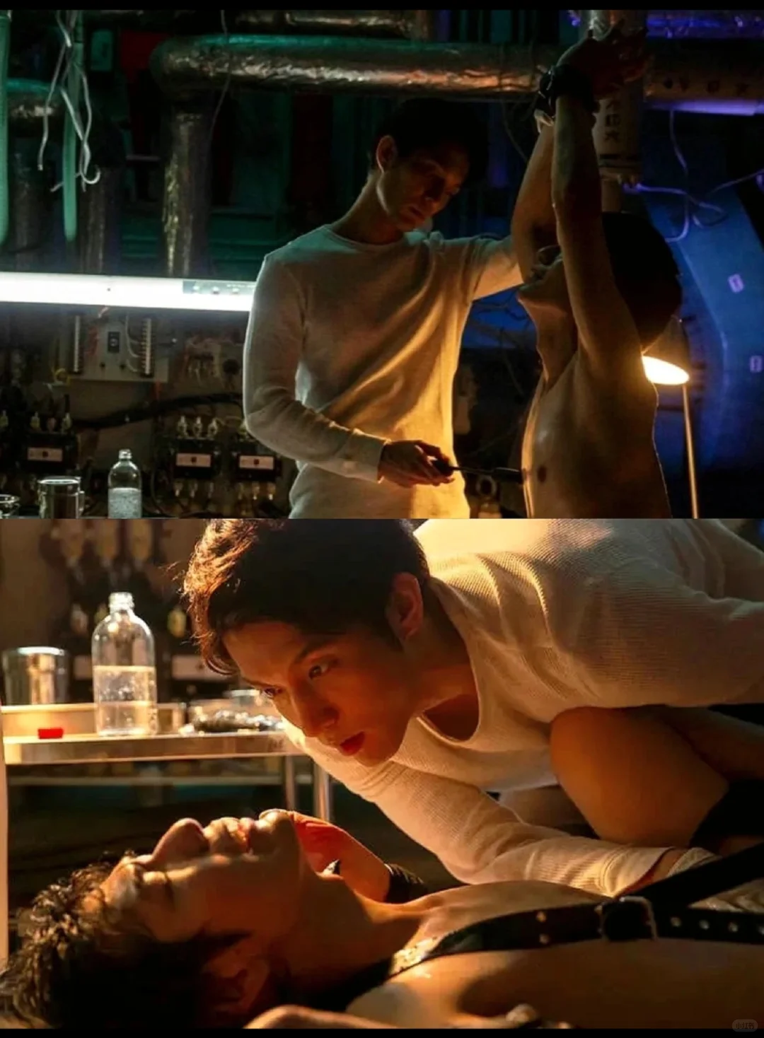 性之剧毒太好看了！