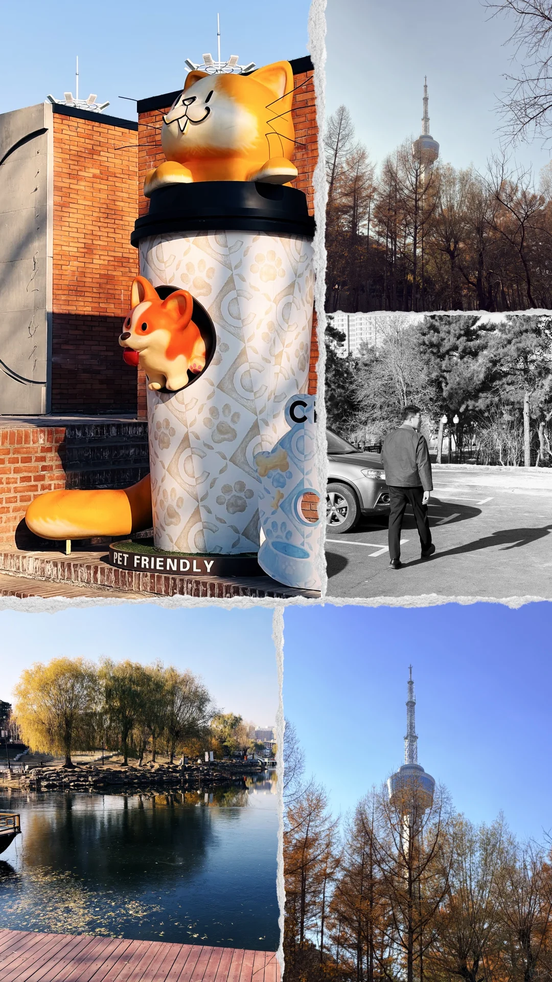 iPhone也是用上徕卡了——Leica Lux app