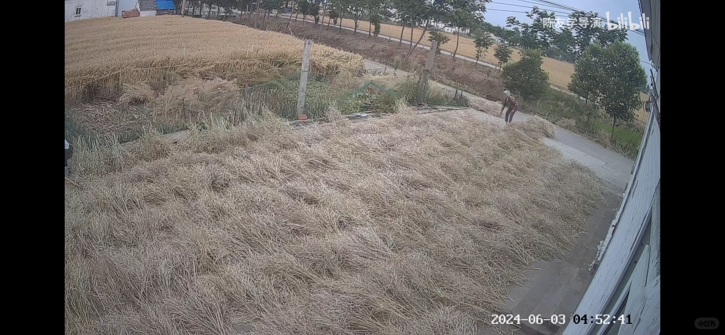 一天推荐一部好看短片Vol.1 《阿珍》