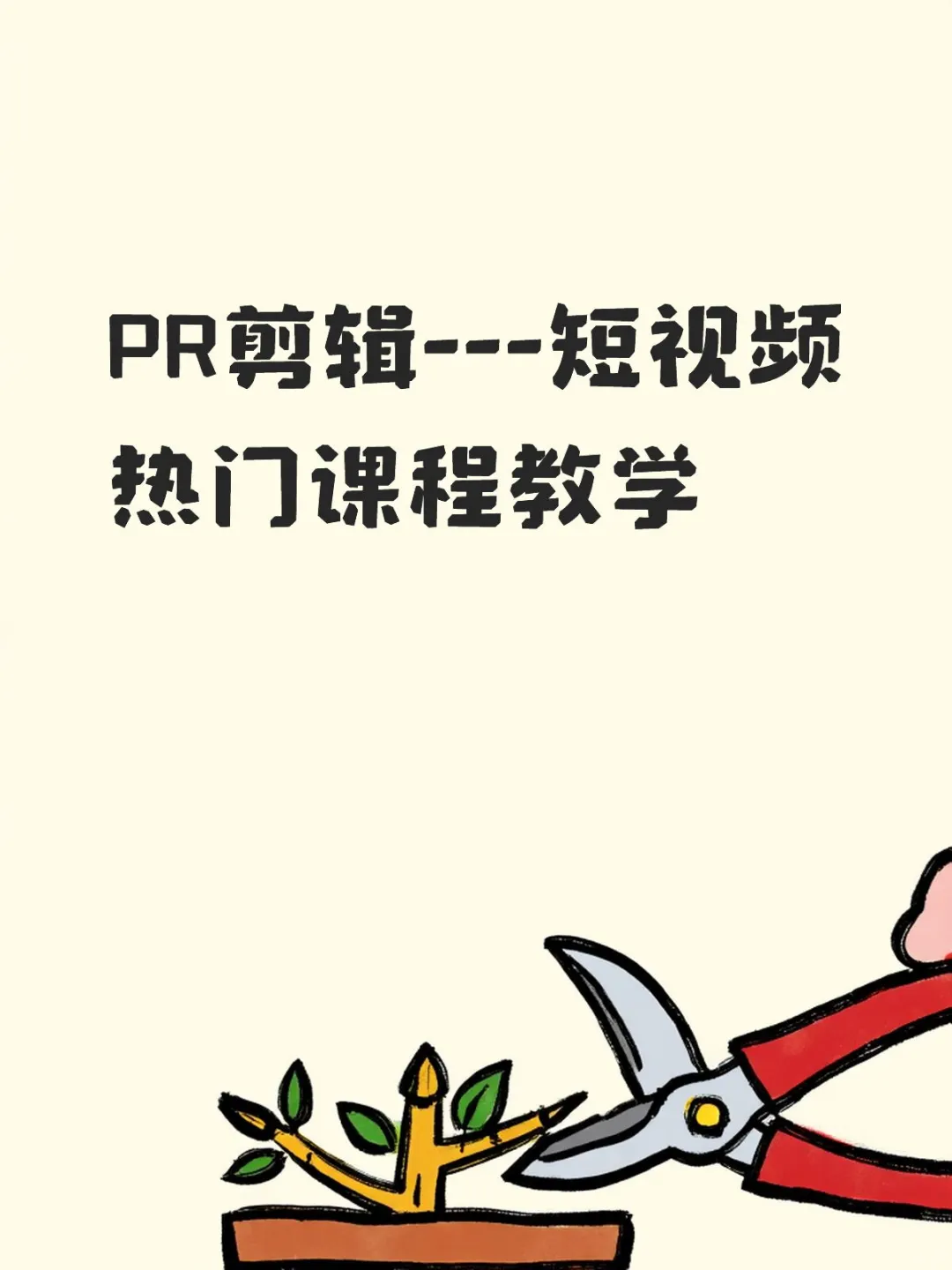 沈阳PR软件剪辑速成培训