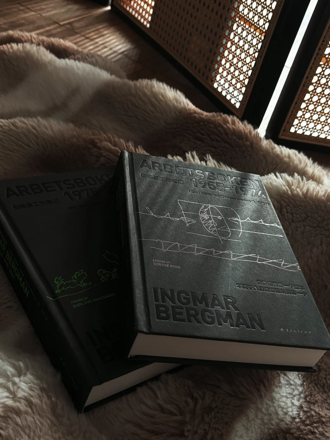 学电影必冲！顶级导演伯格曼笔记全公开