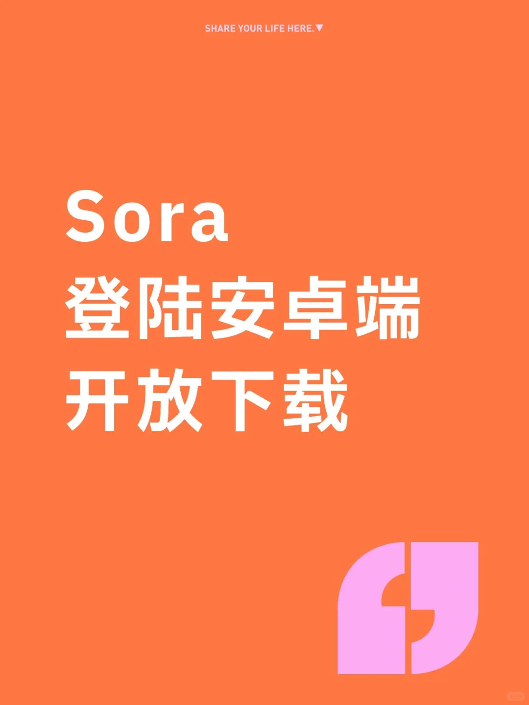 Sora登陆安卓端开放下载