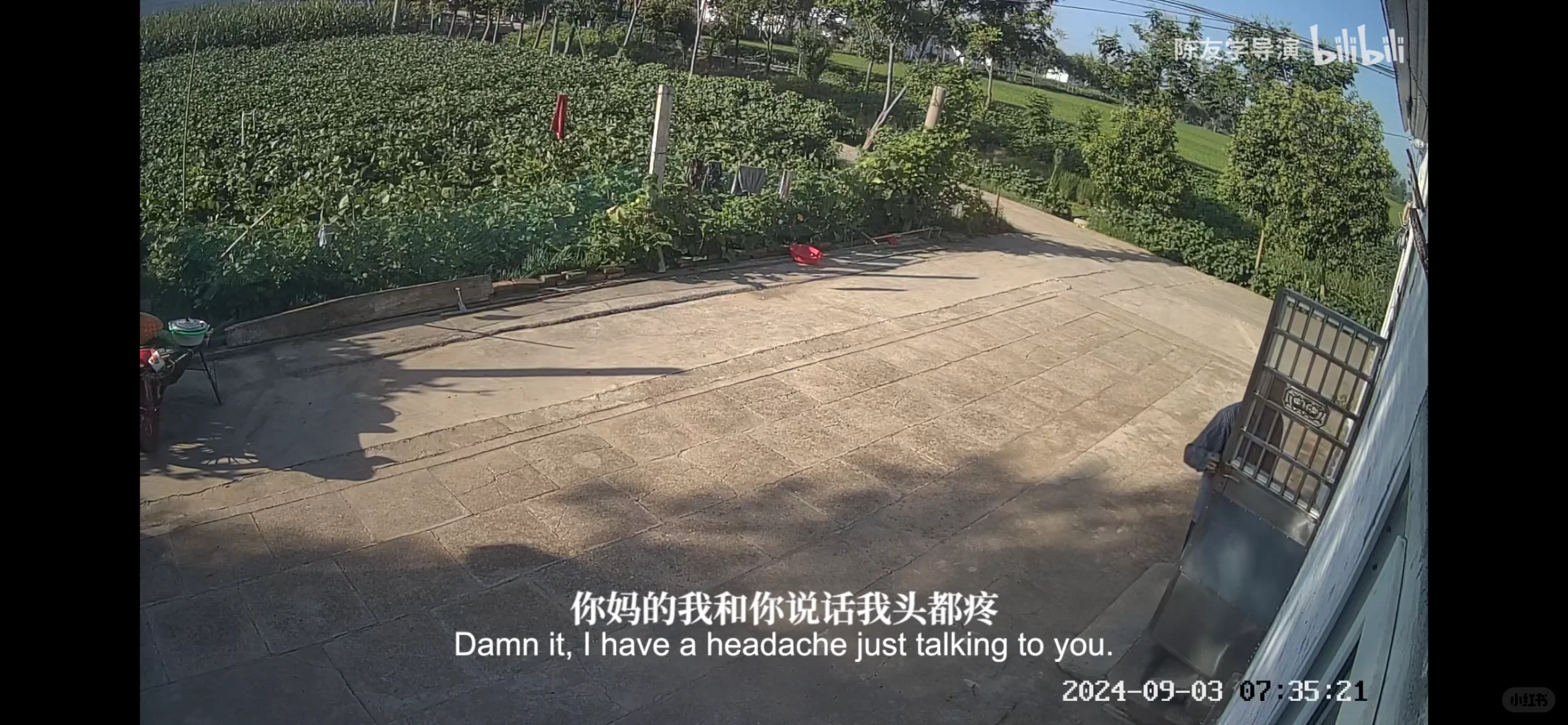 一天推荐一部好看短片Vol.1 《阿珍》