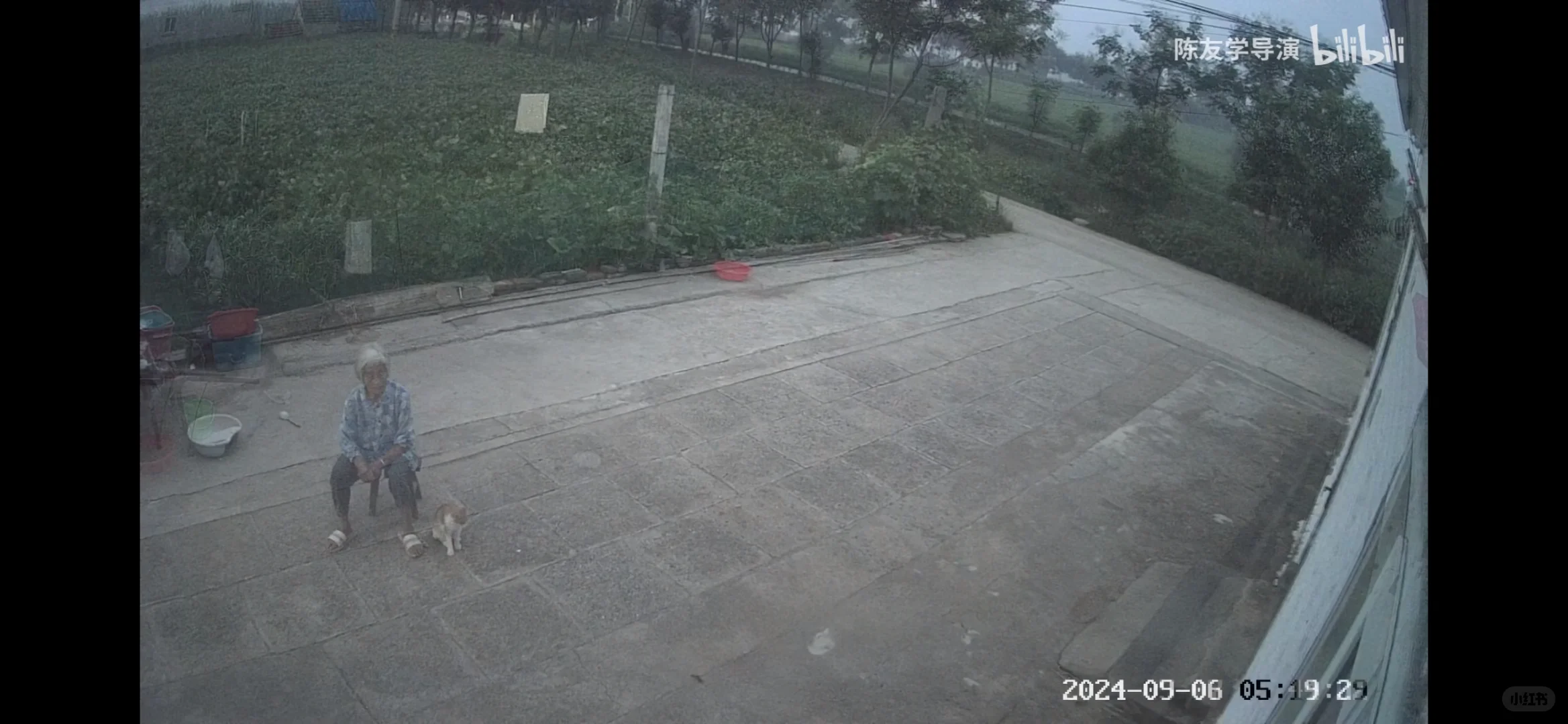 一天推荐一部好看短片Vol.1 《阿珍》