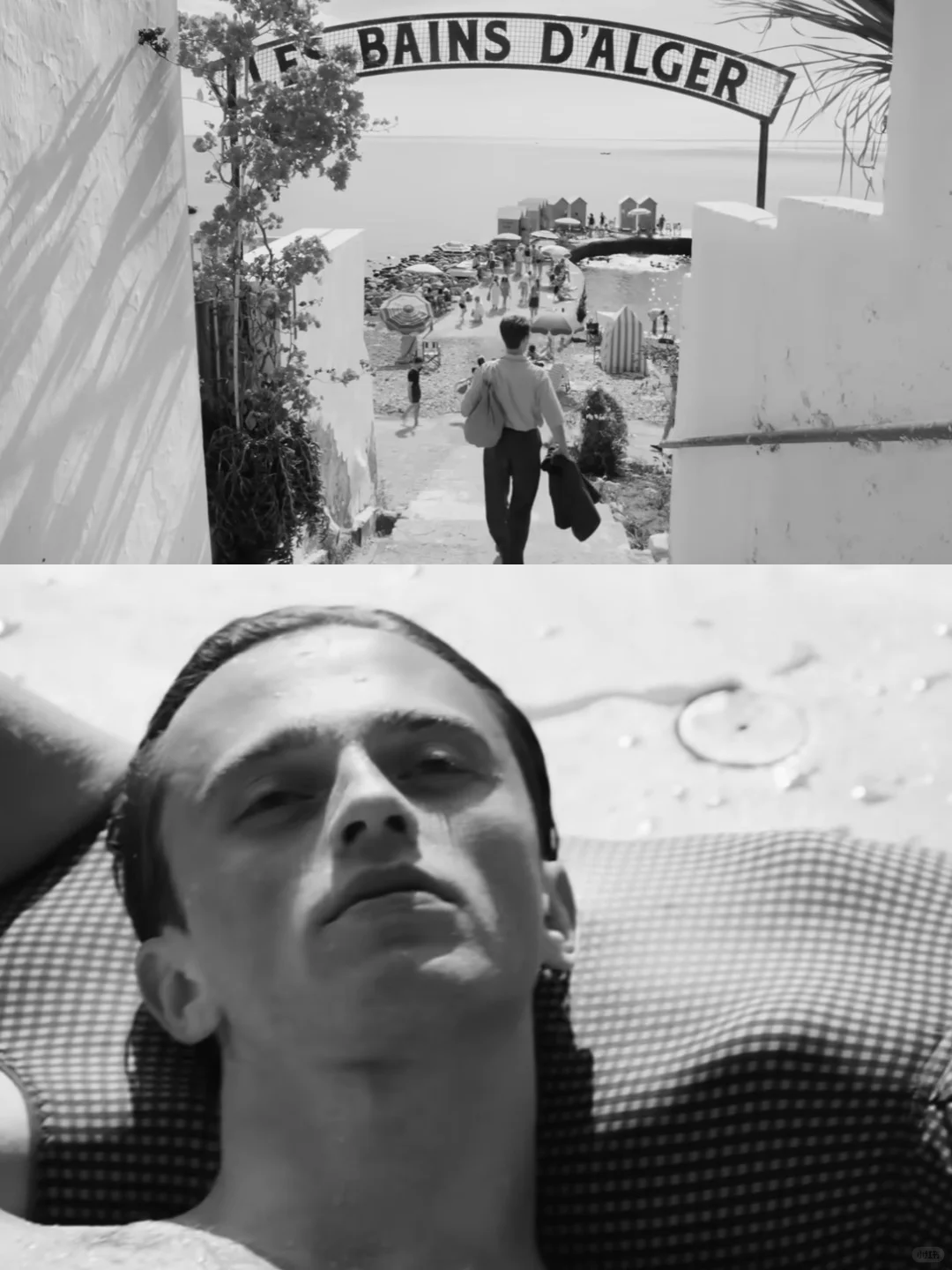 2025法语重磅大片‼️法国秋季必看的电影合集