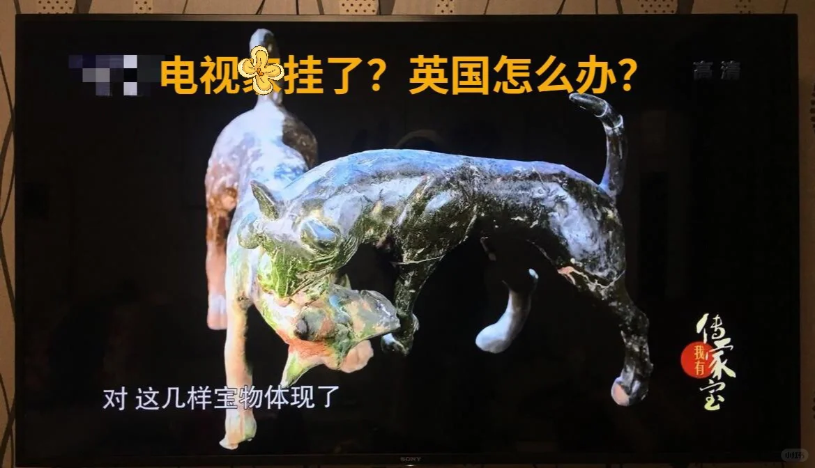 英国电视盒子怎么选