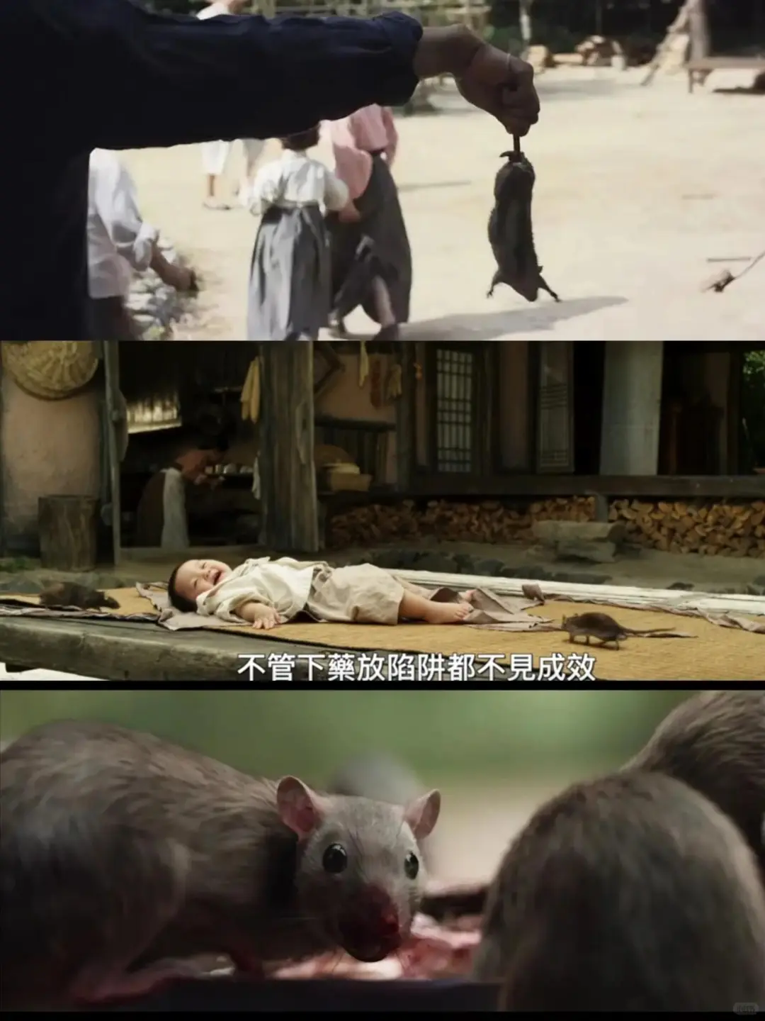 韩国电影的尺度也太大了！！受不了！！