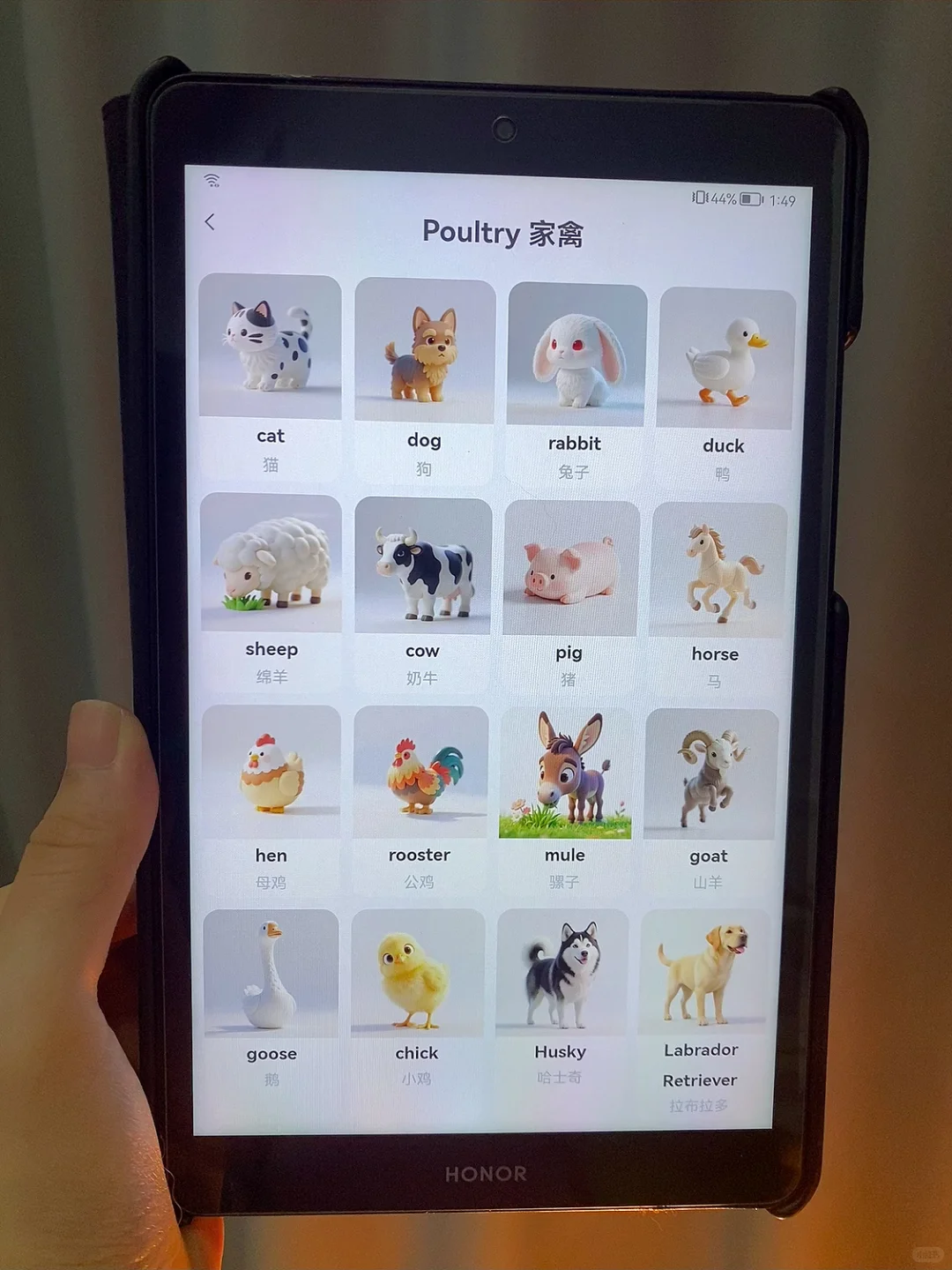 我悟了‼️英语启蒙就用这个App，娃英语飞飞