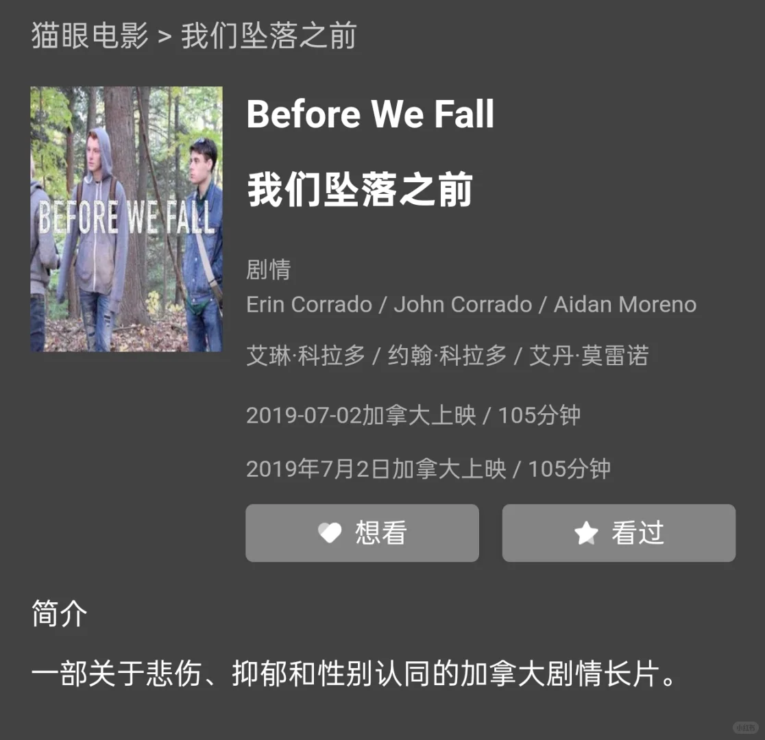 电影：我们坠落之前