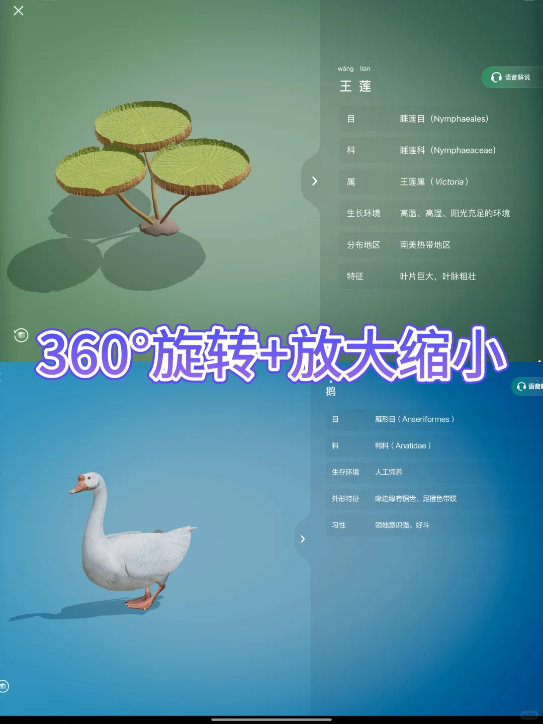 救命！这个O米APP让我家娃爱上学习了！