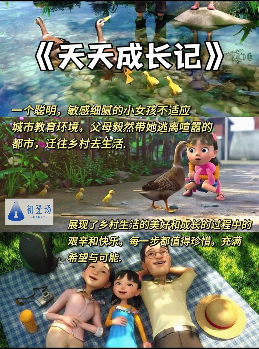 治愈片单｜这8部电影，藏着生活最温柔的模样✨