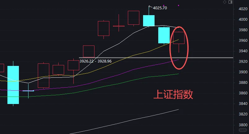 开门红！11月高度重视这个板块！