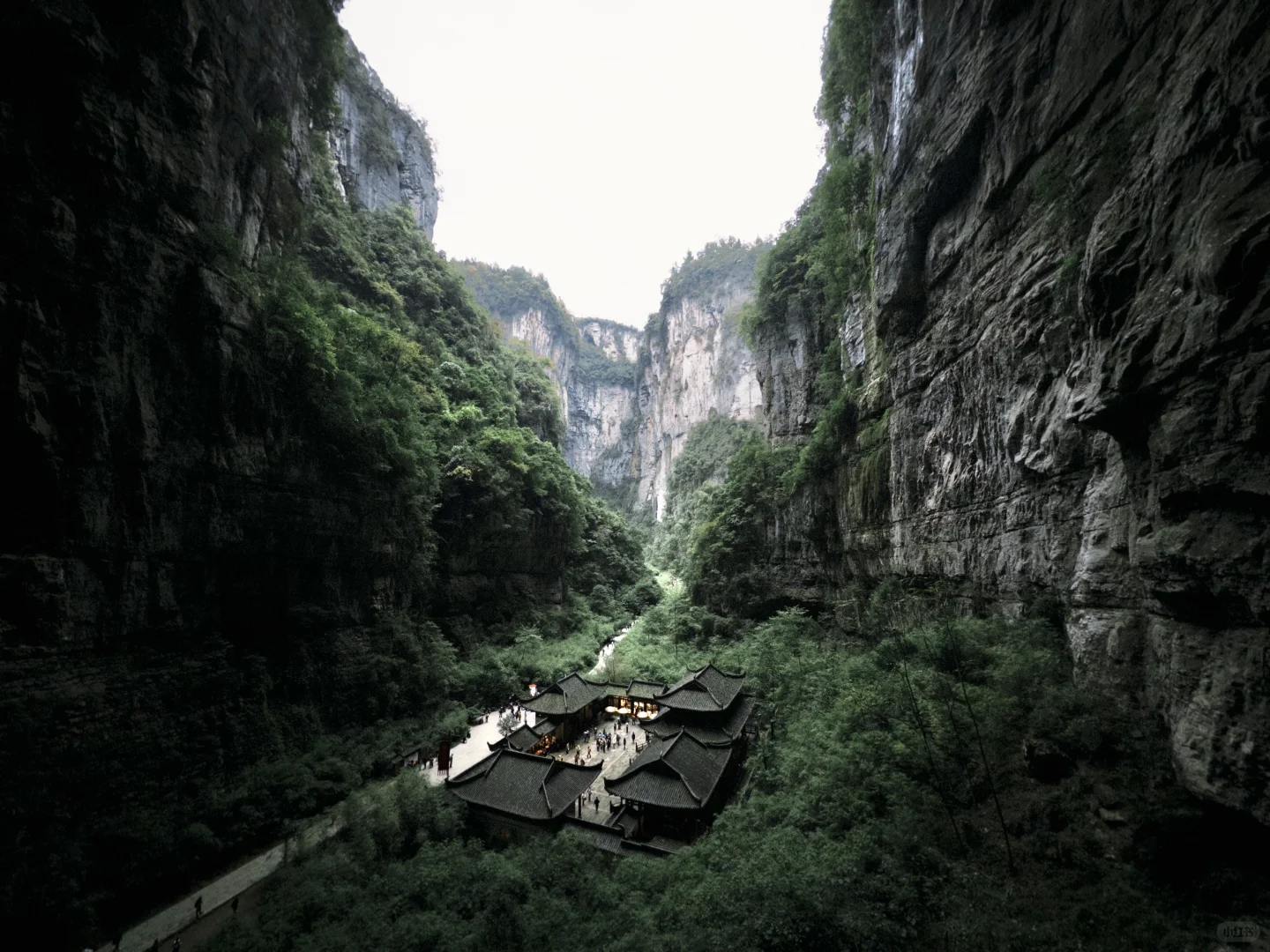 原相机对比DAZZ、Indigo直出效果